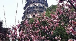 obrázek - Yunyansi Pagoda (云岩寺塔)