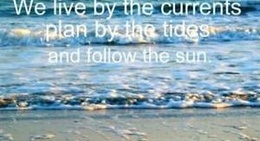 obrázek - Cape Haze Marina