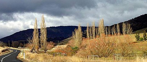 obrázek - Corryong