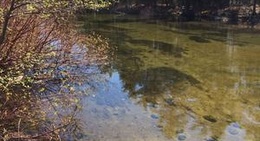 obrázek - Riverfront Pizza + Speciality