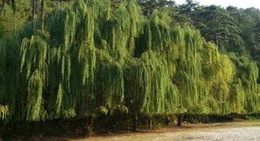 obrázek - Λίμνη Μαριών