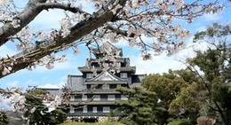 obrázek - Okayama Castle (岡山城)