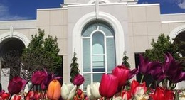 obrázek - Mount Timpanogos Utah Temple