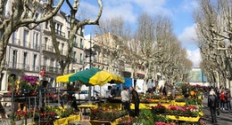 obrázek - Allées Paul Riquet