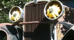 obrázek - Parsons Fruit Stand