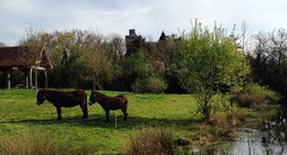 obrázek - Chateau Du Boucher