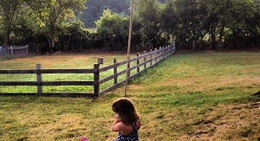 obrázek - Circle M Farm