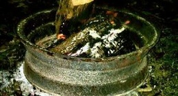 obrázek - Rays Campground