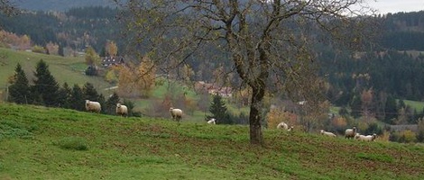 obrázek - Les Adrets