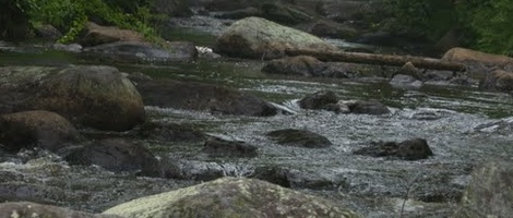 obrázek - Val-des-Lacs