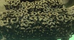 obrázek - 曾侯乙墓