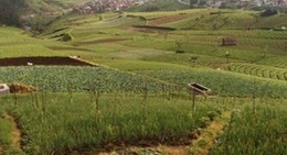obrázek - Warung Lesehan Mbok'e