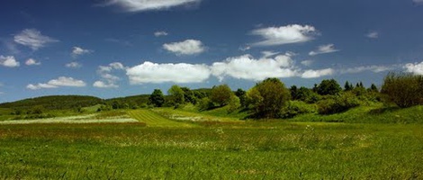 obrázek - Jedlina-Zdrój