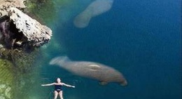 obrázek - Lake Tenkiller