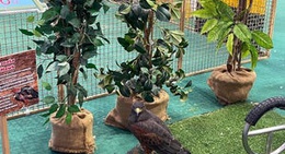 obrázek - Central Korat (เซ็นทรัล โคราช)