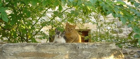 obrázek - Mikros Prinos