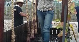 obrázek - Fiesta de la Vendimia