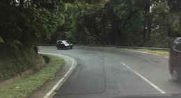 obrázek - Panatapan brastagi