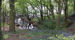 obrázek - Lower Rivington Reservoir