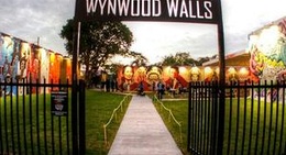 obrázek - The Wynwood Walls