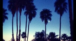 obrázek - Downtown Palm Springs