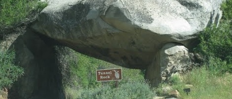 obrázek - Pinehurst