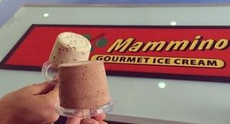 obrázek - Mammino Gourmet Ice Cream