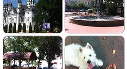 obrázek - Central Park RAdauti