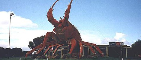 obrázek - Kingston South East