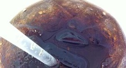 obrázek - Skipper's Floating Restaurant