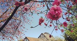 obrázek - The George Harcourt Inn