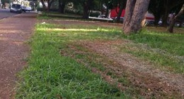 obrázek - Praça Nabih Gebara