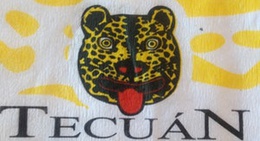 obrázek - Tecuán