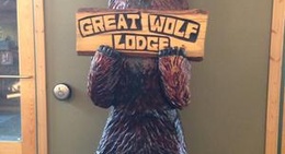 obrázek - Great Wolf Lodge