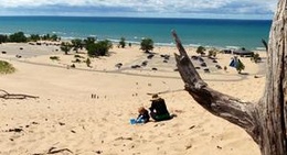 obrázek - Warren Dunes State Park
