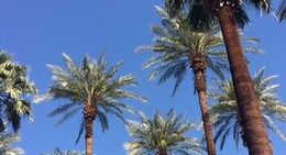 obrázek - City Of Palm Desert