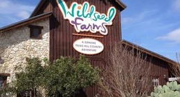 obrázek - Wildseed Farm