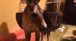 obrázek - Mis Arados