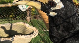 obrázek - ศูนย์เรียนรู้และปฎิบัติการ อนุรักษ์ฟื้นฟูทรัพยากรธรรมชาติและสิ่งแวดล้อมมหาชัยฝั่งตะวันออก