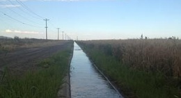 obrázek - Quincy, WA