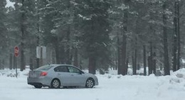 obrázek - Cedar Lodge