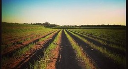 obrázek - Thibodaux, LA