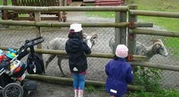 obrázek - Lycksele Djurpark