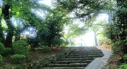 obrázek - Takaoka Kojo Park (高岡古城公園)