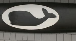 obrázek - Black Whale Bar & Fishhouse