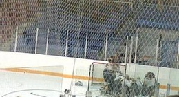 obrázek - Welland Arena