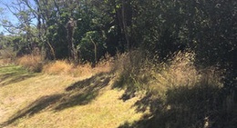 obrázek - Lake Tarawera Water Taxi and Eco Tours