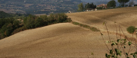 obrázek - Petroro