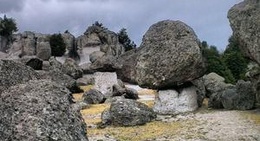 obrázek - Valle De Lis Hongos