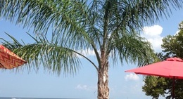 obrázek - High Tides on the Potomac